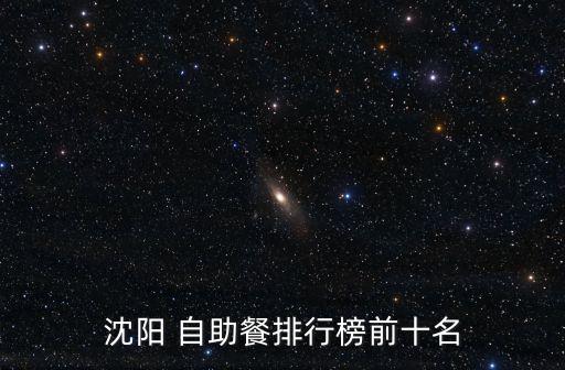 沈陽 自助餐排行榜前十名