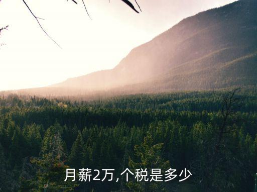 2萬元個人所得稅是多少錢,5000個人所得稅交多少