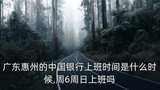 廣東惠州的中國(guó)銀行上班時(shí)間是什么時(shí)候,周6周日上班嗎