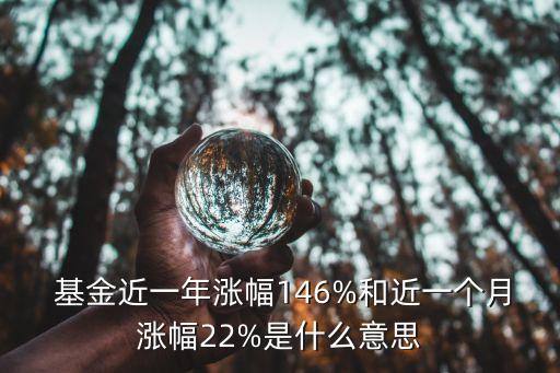  基金近一年漲幅146%和近一個月漲幅22%是什么意思