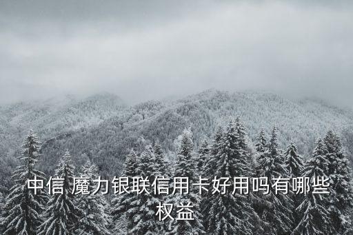  中信 魔力銀聯(lián)信用卡好用嗎有哪些權益