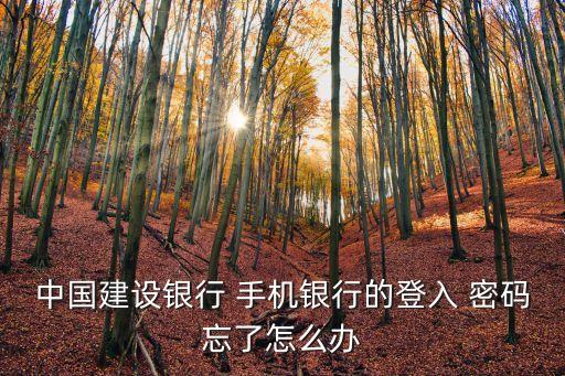 手機(jī)建行密碼重置密碼是多少錢,建行密碼重置可以在手機(jī)上嗎