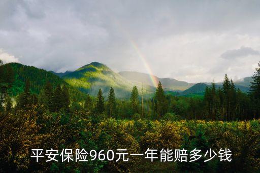  平安保險960元一年能賠多少錢