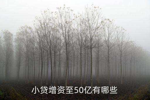 小貸增資至50億有哪些