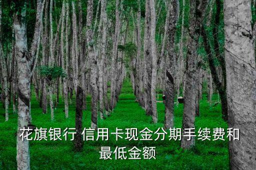 花旗銀行信用卡一般額度多少,香港花旗銀行信用卡額度