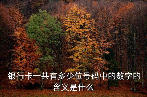 銀行卡有多少位,怎么查名下銀行卡有幾張