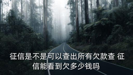 信用卡透支多少征信顯示