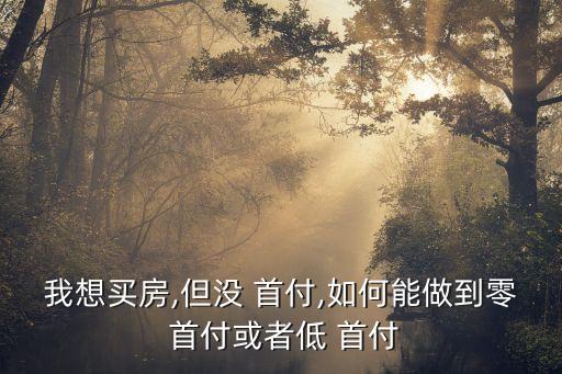 我想買房,但沒 首付,如何能做到零 首付或者低 首付