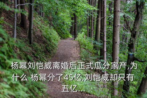 楊冪總資產(chǎn)多少,李宇春總資產(chǎn)多少億