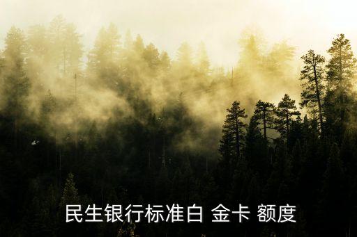 網(wǎng)申民生白金卡額度多少,民生白金卡額度才30000