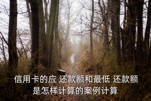  信用卡的應(yīng) 還款額和最低 還款額是怎樣計(jì)算的案例計(jì)算