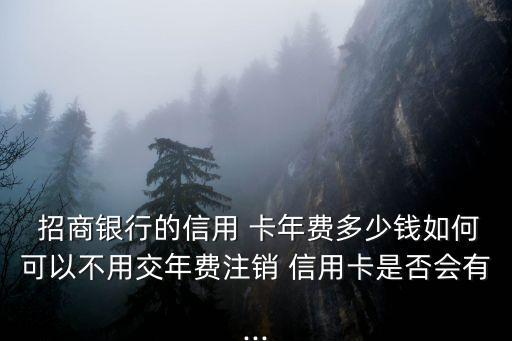招商銀行信用卡卡年費多少錢