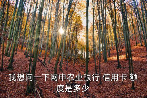 我想問一下網申農業(yè)銀行 信用卡 額度是多少