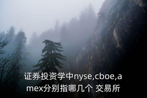 證券投資學(xué)中nyse,cboe,amex分別指哪幾個 交易所