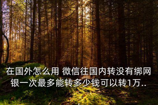 在國外怎么用 微信往國內(nèi)轉(zhuǎn)沒有綁網(wǎng)銀一次最多能轉(zhuǎn)多少錢可以轉(zhuǎn)1萬...