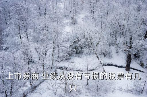 上市券商 業(yè)績從沒有虧損的股票有幾只