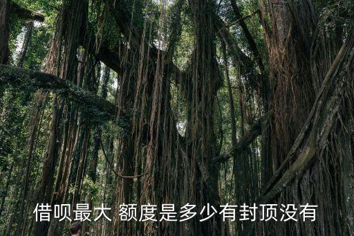 借唄最大 額度是多少有封頂沒有