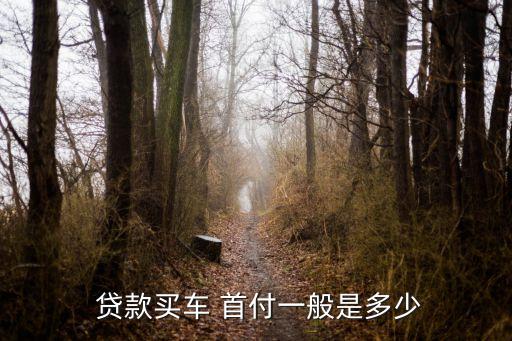 汽車貸款首付都有多少百分比的
