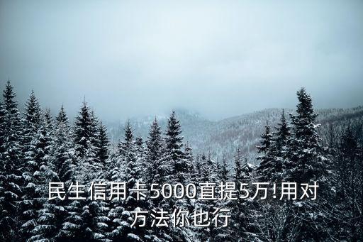 民生調(diào)額多少錢,民生信用卡調(diào)額短信