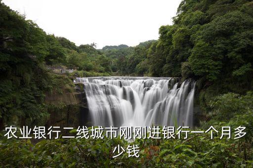農(nóng)業(yè)銀行二線城市剛剛進(jìn)銀行一個月多少錢