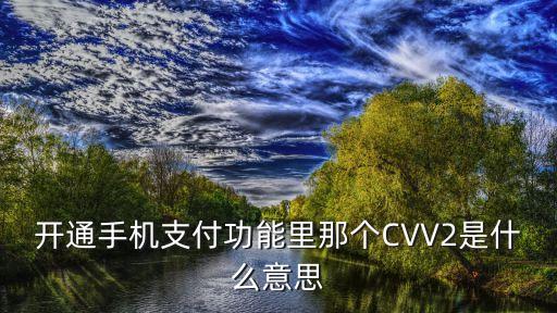 開通手機支付功能里那個CVV2是什么意思