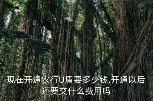 銀行辦u盾多少錢,銀行問我為什么辦u盾我怎么回答