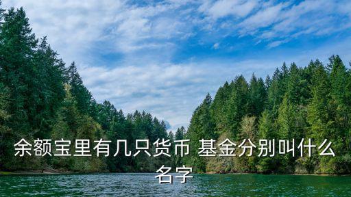 余額寶里有幾只貨幣 基金分別叫什么名字