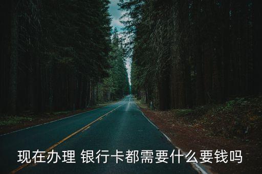 自助辦銀行卡要多少錢,16歲可以自助辦銀行卡嗎
