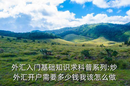  外匯入門基礎(chǔ)知識求科普系列:炒 外匯開戶需要多少錢我該怎么做