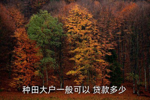 農(nóng)戶小額貸款貸多少最多,農(nóng)行農(nóng)戶小額貸款還了可以繼續(xù)貸