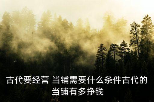 開當鋪一年賺多少錢,當鋪一年可以賺多少錢