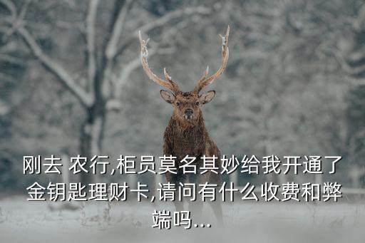 剛?cè)?農(nóng)行,柜員莫名其妙給我開通了 金鑰匙理財卡,請問有什么收費和弊端嗎...