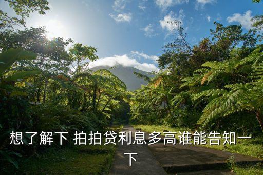 拍拍貸服務(wù)費(fèi)多少