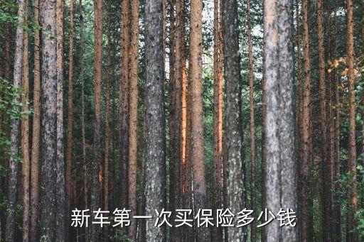  新車第一次買(mǎi)保險(xiǎn)多少錢(qián)