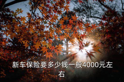  新車保險要多少錢一般4000元左右