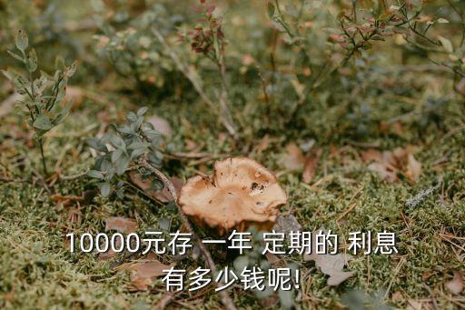 一萬存一年定期利息多少錢,存一萬利息是3.5怎么算