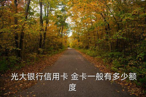 光大白金卡封頂多少,光大菁英白金卡
