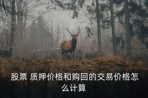  股票 質(zhì)押價格和購回的交易價格怎么計(jì)算