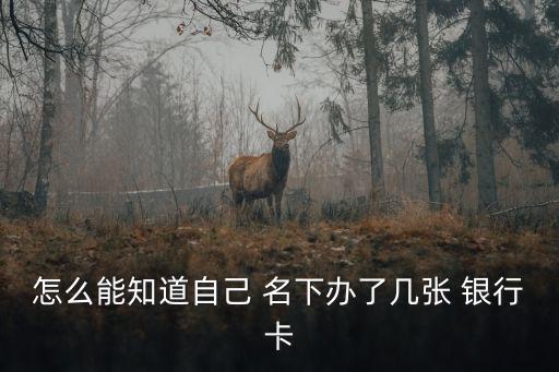 怎么能知道自己 名下辦了幾張 銀行卡