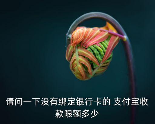 2017支付寶額度是多少錢,第一個(gè)用支付寶的人額度是多少