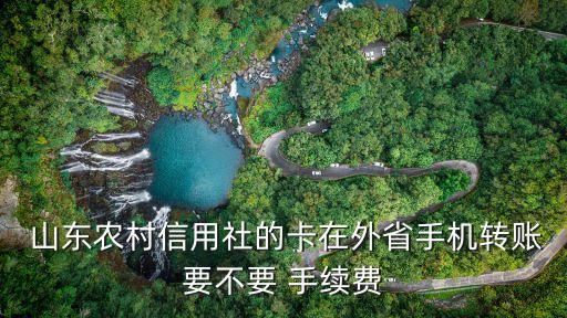 山東農(nóng)信跨行手續(xù)費多少