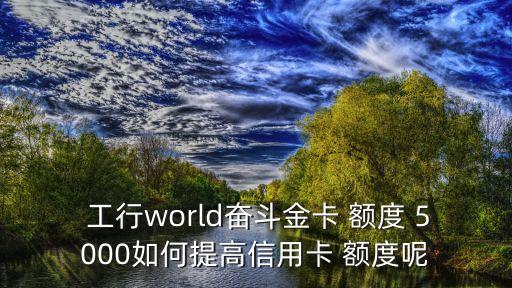 工行下卡5000額度是多少,工行5000額度的信用卡有必要養(yǎng)嗎