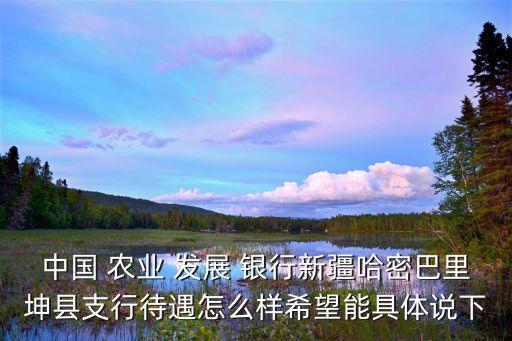 中國 農(nóng)業(yè) 發(fā)展 銀行新疆哈密巴里坤縣支行待遇怎么樣希望能具體說下