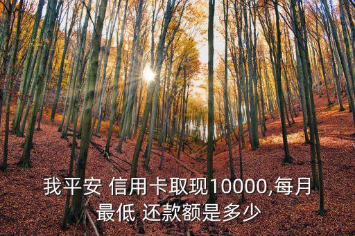 我平安 信用卡取現(xiàn)10000,每月 最低 還款額是多少