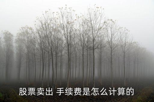 賣1000股是多少手續(xù)費(fèi)