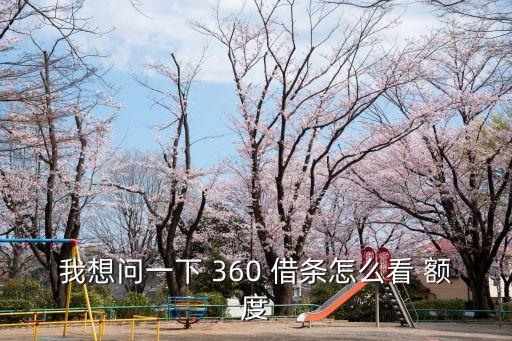360借條首批額度多少