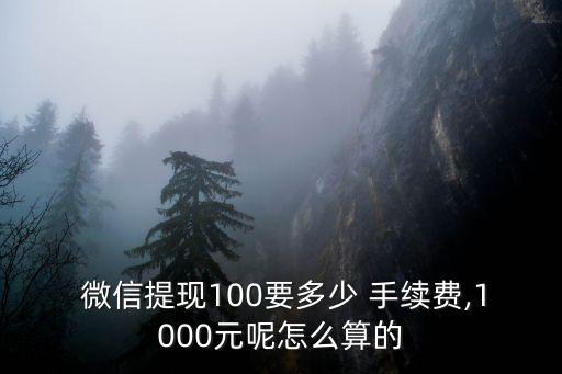  微信提現(xiàn)100要多少 手續(xù)費,1000元呢怎么算的