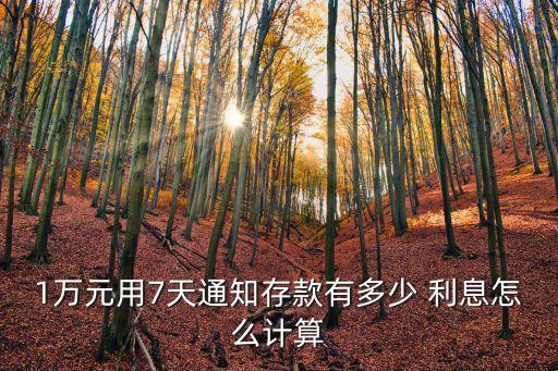 1萬元七日利息是多少錢,500萬元一年利息多少