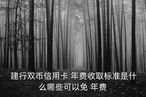  建行雙幣信用卡 年費收取標準是什么哪些可以免 年費