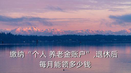 繳納“個人 養(yǎng)老金賬戶”,退休后 每月能領多少錢